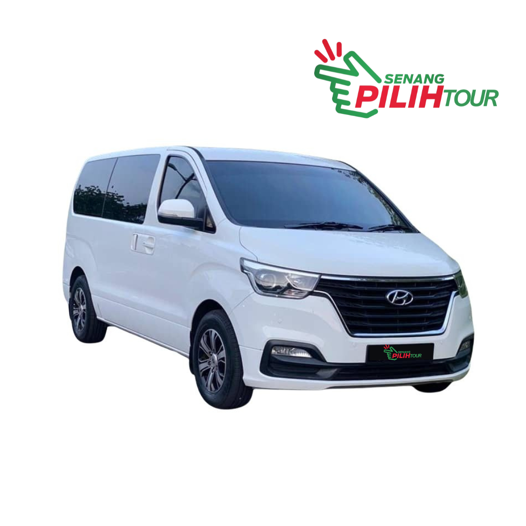 Hyundai Starex 11 seater (2019)